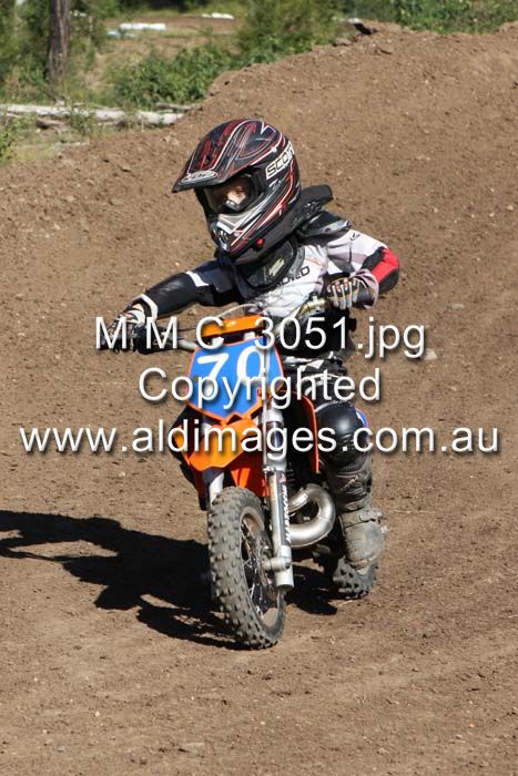 445x677 pixels (84K)